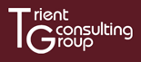 Trient Consulting Group